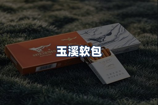 玉溪软包